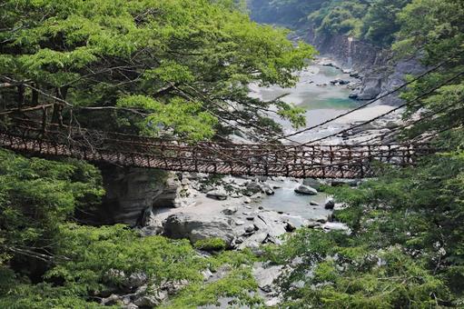 祖谷渓谷かずら橋1 祖谷渓谷かずら橋1の写真