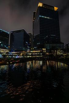 都市夜景 都市夜景の写真