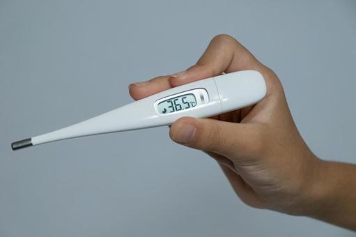 36.5度を示す電子体温計を持つ手 体温計,電子体温計,36.5度の写真素材