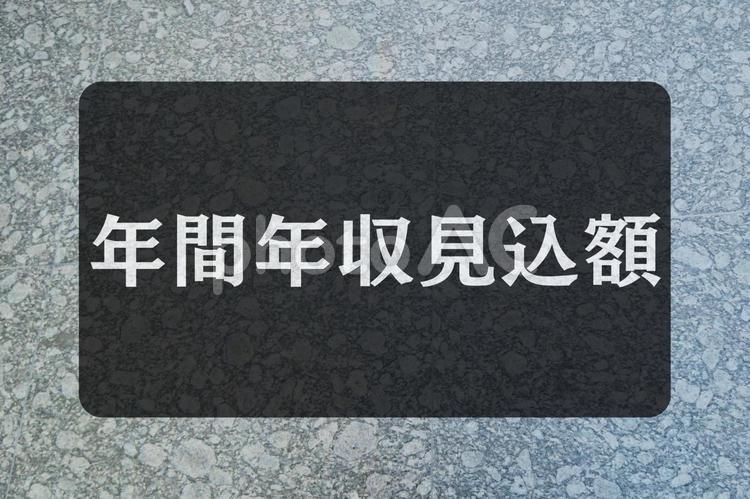 石のテクスチャ（年間年収見込額） 年間年収見込額,文字素材,テクスチャの写真素材