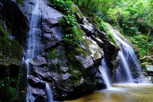 清涼なる金引きの滝 清涼なる金引きの滝 滝,瀧,金引きの滝の写真素材