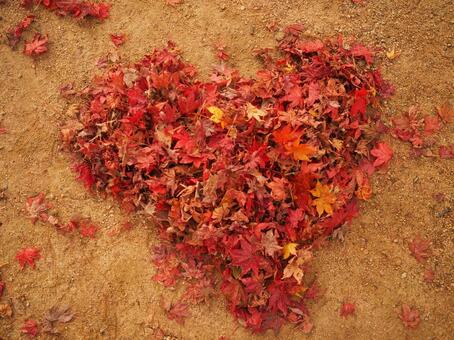 ハートの紅葉の落ち葉 紅葉,もみじ,秋の写真素材