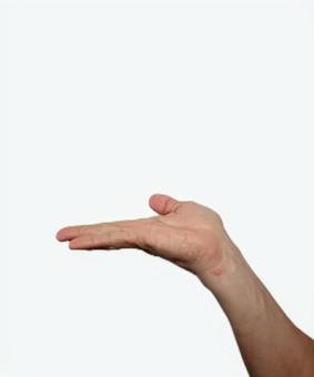 手の平 右手 こちらへどうぞ 手の平 右手 こちらへどうぞの写真