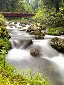 渓流 自然,渓流,源流の写真素材