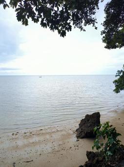 Ishigaki Island, Okinawa Prefecture: Sea, sky and plants seen from the beach, JPG