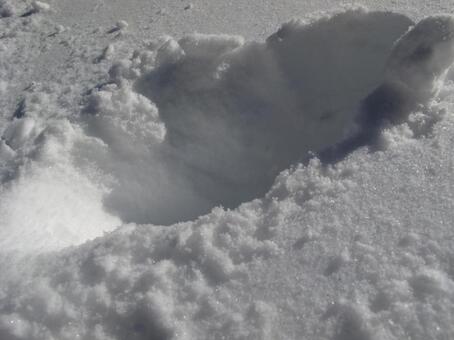 雪に残るくぼみと冬の光 雪,積雪,冬の写真素材