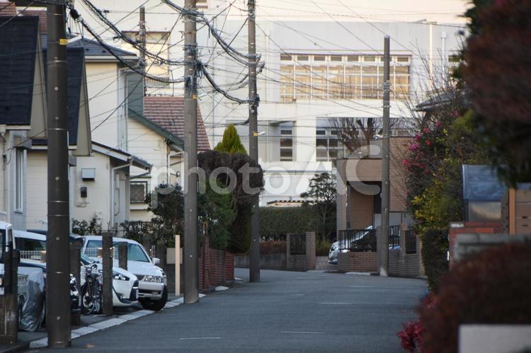 冬の早朝の横浜市北部の街並み 神奈川県横浜市,住宅街,住宅地の写真素材
