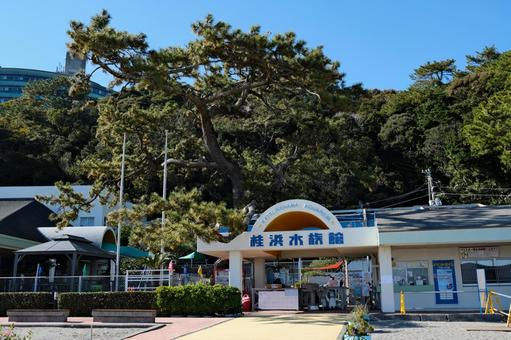 桂濱水族館 桂濱水族館