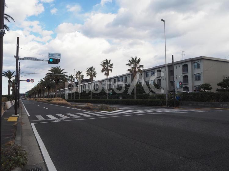 馬堀海岸の街並み（横須賀市） 馬堀海岸二丁目東,国道16号線,馬堀海岸の写真素材