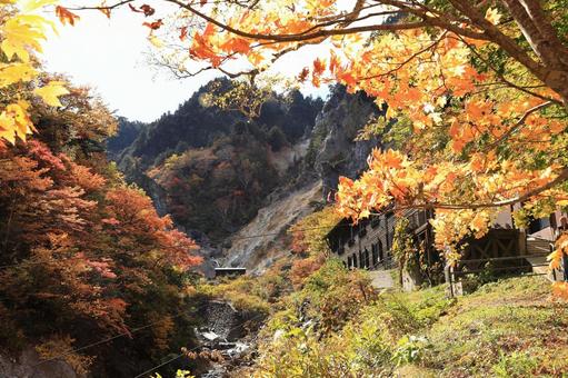 秋の姥湯温泉 秋,山,風景の写真素材