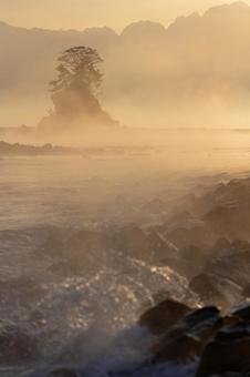 気嵐の海岸と打ち寄せる波_縦 冬,朝,気嵐の写真素材