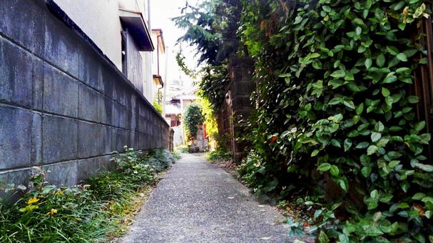 A back alley bathed in early summer sunlight, JPG A back alley bathed in early summer sunlight, JPG