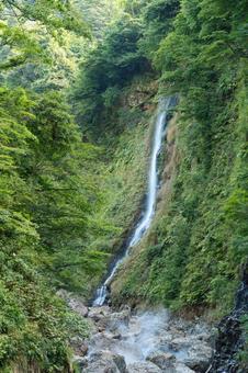 滝 滝の写真