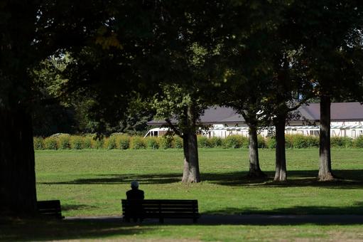 百合が原公園の風景１の写真