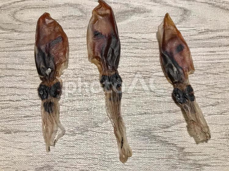 美味しそうなホタルイカの干物、スルメ イカ,富山,小料理屋の写真素材