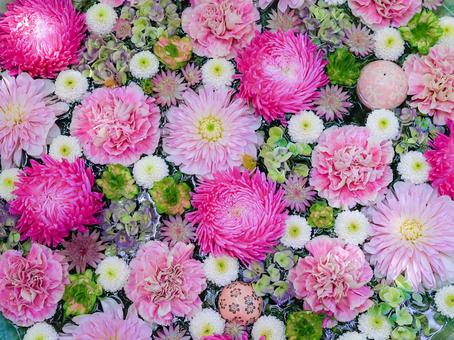 花手水⑥ 花手水,花,ピンクの写真素材