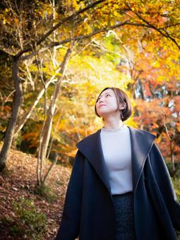 31:紅葉の公園を散策する女性 31:紅葉の公園を散策する女性の写真