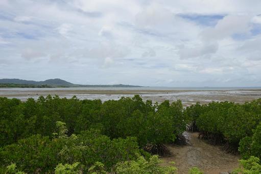 沖縄 石垣島 石垣港伊原間線から見る風景 沖縄 石垣島 石垣港伊原間線から見る風景の写真