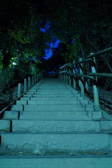 松戸市、夜の大谷口歴史公園の階段 松戸市、夜の大谷口歴史公園の階段の写真