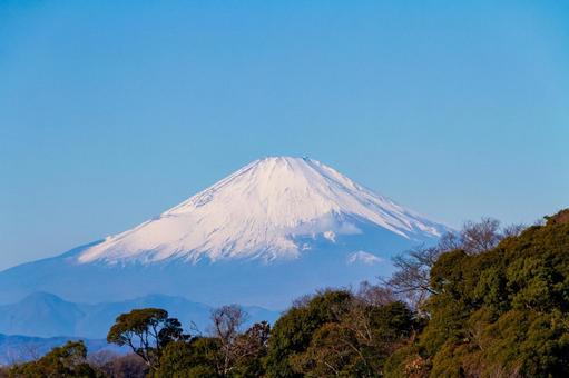 富士山 富士山の写真