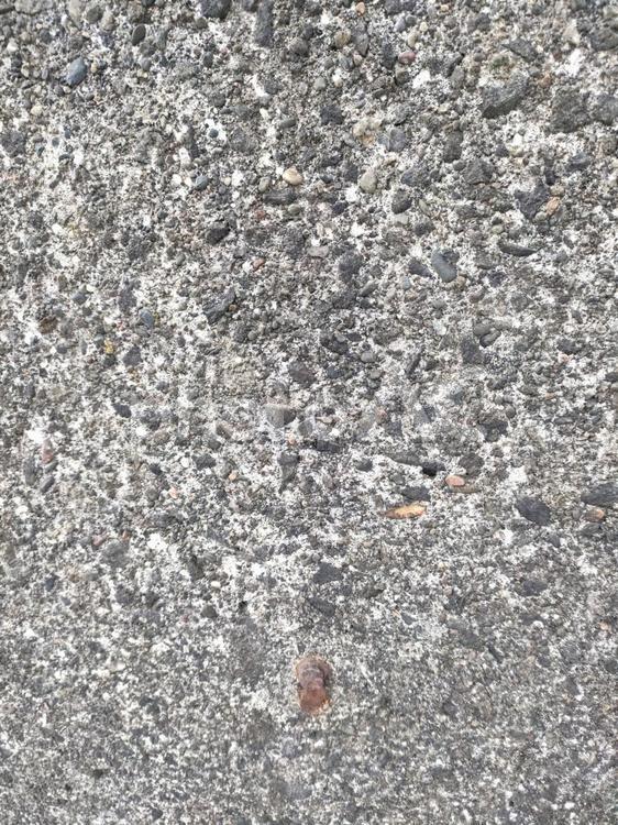 砂利とコンクリートが混ざった粗い質感の壁 コンクリート,アスファルト,小石の写真素材