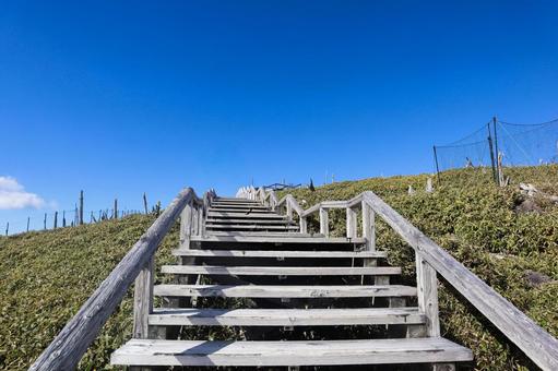 木の登り階段 木の登り階段 登り階段,階段,大台ケ原の写真素材