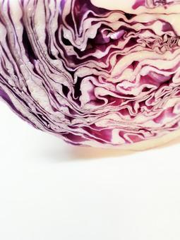 レッドキャベツ　コピースペースあり レッドキャベツ,白背景,背景白の写真素材