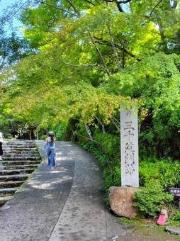 三千院石碑 三千院石碑 三千院,石碑,入口の写真素材