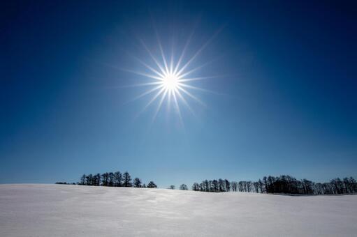 陽光が照らす静謐な雪原の広がり 雪原,雪景色,冬の写真素材