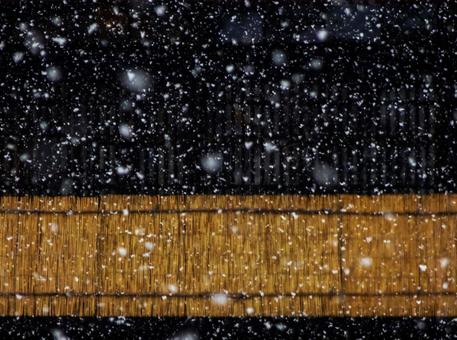 夜の雪 夜の雪 雪,雪囲い,冬囲いの写真素材