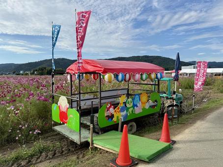 福井県 曇り空と宮ノ下コスモス公苑 福井県 曇り空と宮ノ下コスモス公苑 福井県,宮ノ下コスモス公苑,曇りの写真素材