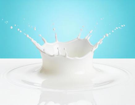 ミルククラウン ミルククラウンの写真