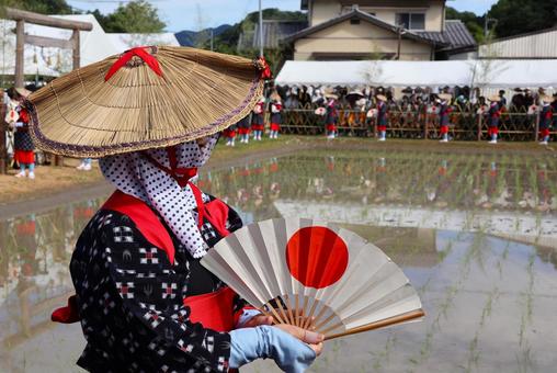 6月中旬の主基斎田お田植まつり斎田おどり 6月中旬の主基斎田お田植まつり斎田おどりの写真