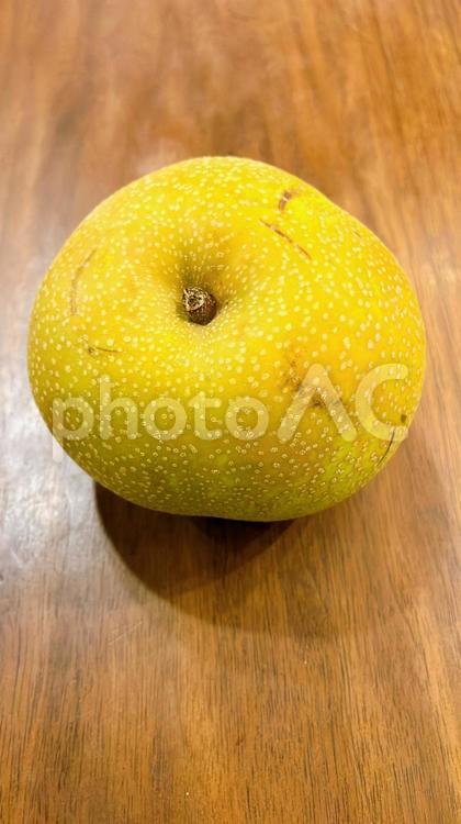 千葉県産の梨 果物,梨,季節の写真素材