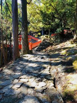 神倉神社 頂上付近 参道 神倉神社 頂上付近 参道 新宮市神倉,神倉神社,熊野信仰の発祥地の写真素材