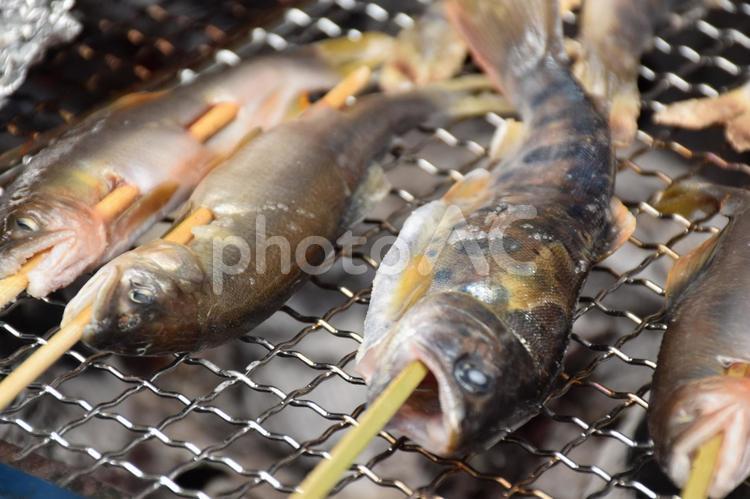 川魚の塩焼き バーベキュー,bbq,夏の写真素材