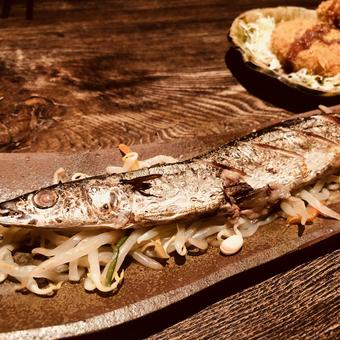 秋刀魚の塩焼き 秋刀魚の塩焼きの写真