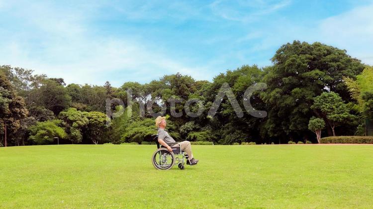 初夏の公園を車いすで散歩するシニア 車いす,シニア,高齢者の写真素材