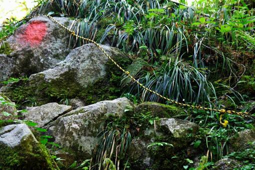 登山道の難所③ 登山道の難所③の写真