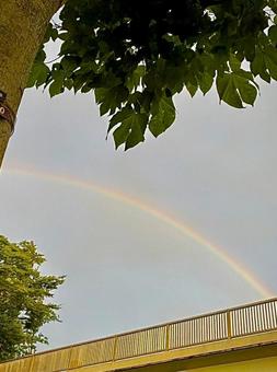 夏の雨上がりの綺麗な虹2 夏の雨上がりの綺麗な虹2の写真
