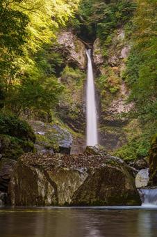 根尾の滝 秋( 飛騨小坂) 根尾の滝 秋( 飛騨小坂) 根尾の滝,渓流,渓谷の写真素材