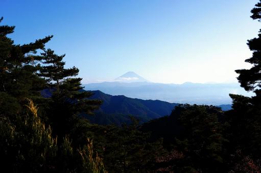 松の木越しに見る遠景の富士山 富士山,松,遠景の写真素材