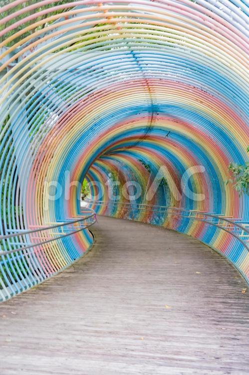 兵庫県　播摩中央公園の風景 播摩中央公園,兵庫,兵庫県の写真素材