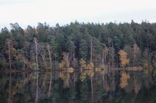 湖畔の秋 湖畔,季節,秋の写真素材