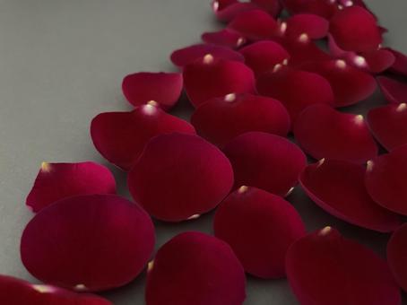 バラの花びら7 バラの花びら7の写真