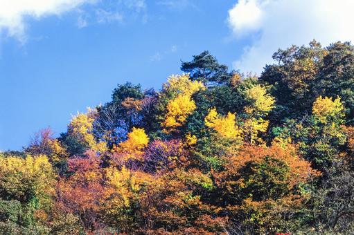 山間の紅葉2 山間の紅葉2 秋,枯葉,背景の写真素材