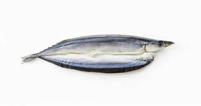 秋刀魚の開き 秋刀魚の開き 秋刀魚の開き,サンマ,干物の写真素材