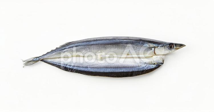 秋刀魚の開き  秋刀魚の開き,サンマ,干物の写真素材