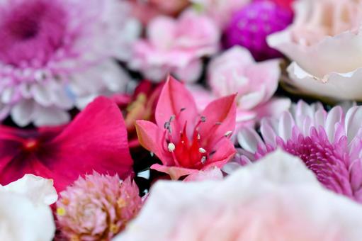 花手水 花手水 花手水,花,手水の写真素材