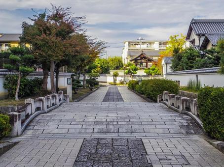 【奈良県】大和郡山市・外堀緑地 外堀緑地,大和郡山市,奈良県の写真素材